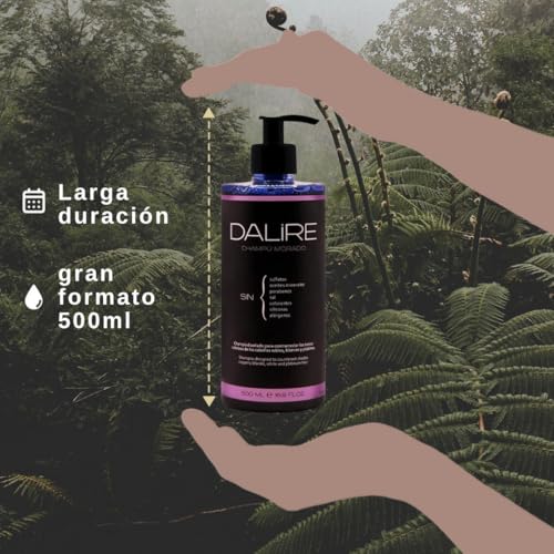 Champú MORADO Sin Sulfatos - 500ml